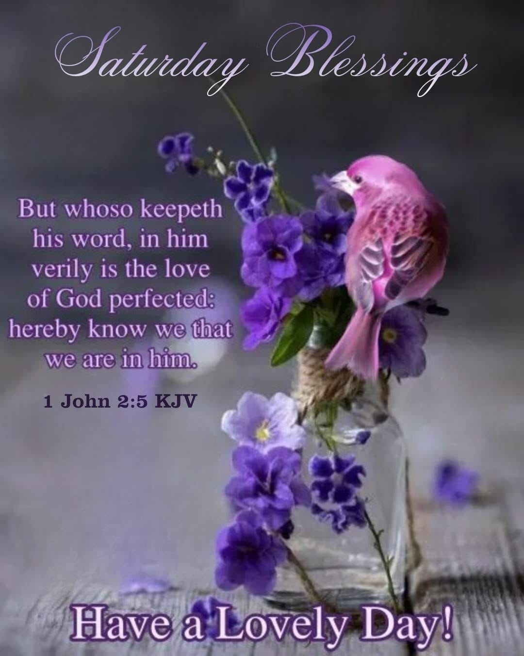 Saturday Blessings With Inspiring Bible Verse Pictures Photos And Images For Facebook Tumblr Pinterest And Twitter