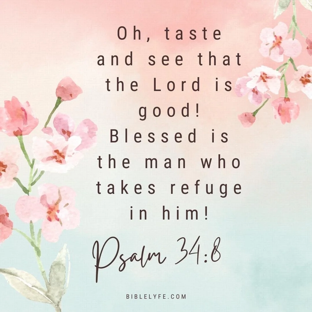 Scripture Postcard