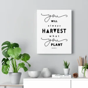Scripture Walls Always Harvest What You Plant Galatians 6 7 Bible Vers Express Your Love Gifts