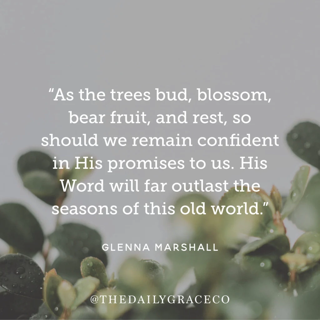 Seasons Change God Remains The Daily Grace Co 