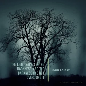 Seek Light In The Darkness Coming To Light