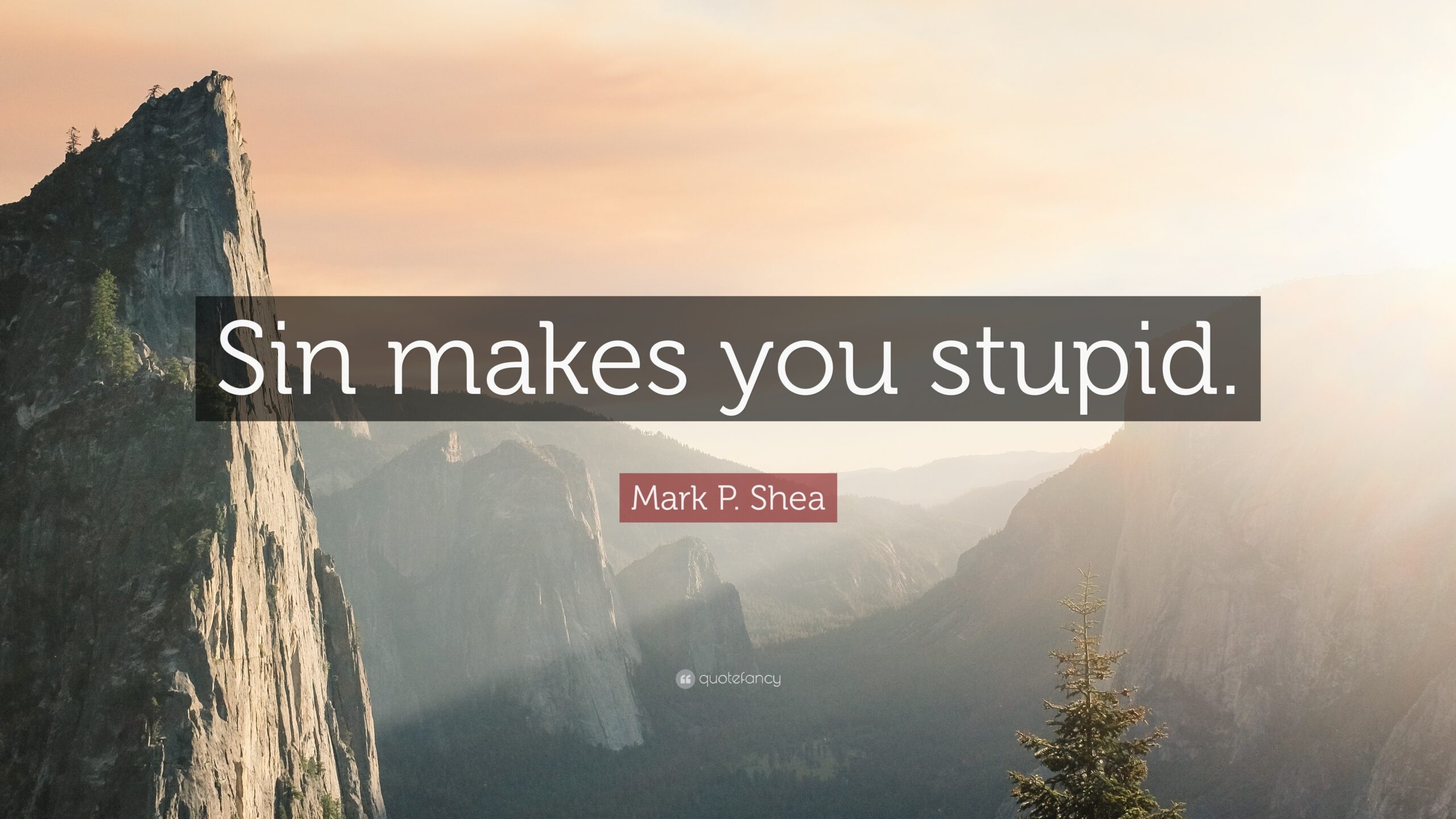 Bible Quotes About Stupidity