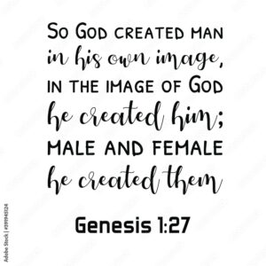 So God Created Man In His Own Image In The Image Of God He Created Him Male And Female He Created Them Bible Verse Quote Stock Vector Adobe Stock
