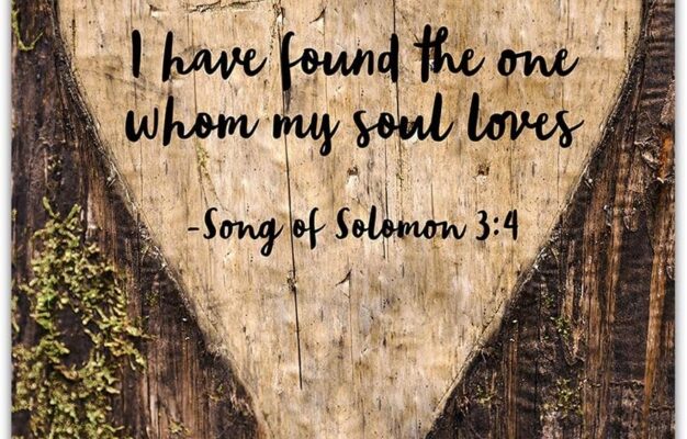 Song Of Solomon 3 4 Bible Verse Wall Print Guyana Ubuy