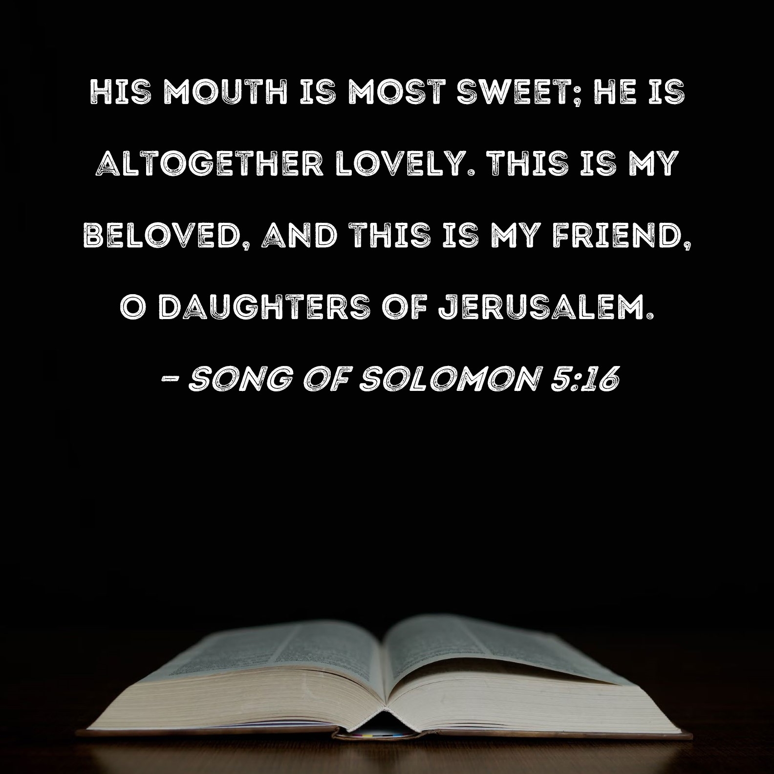 Song Of Solomon 5 16 His Mouth Is Most Sweet He Is Altogether Lovely This Is My Beloved And This Is My Friend O Daughters Of Jerusalem 