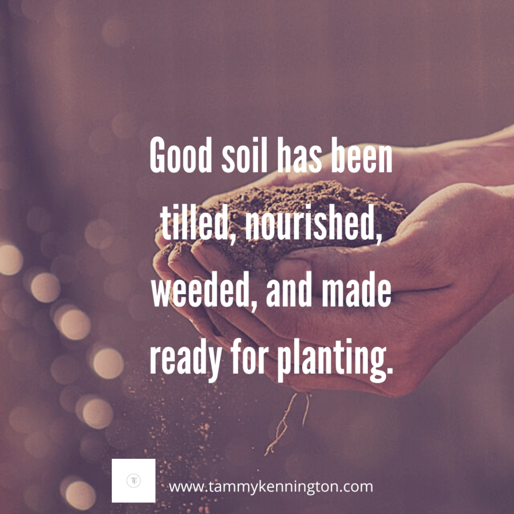 Seed Quotes Bible