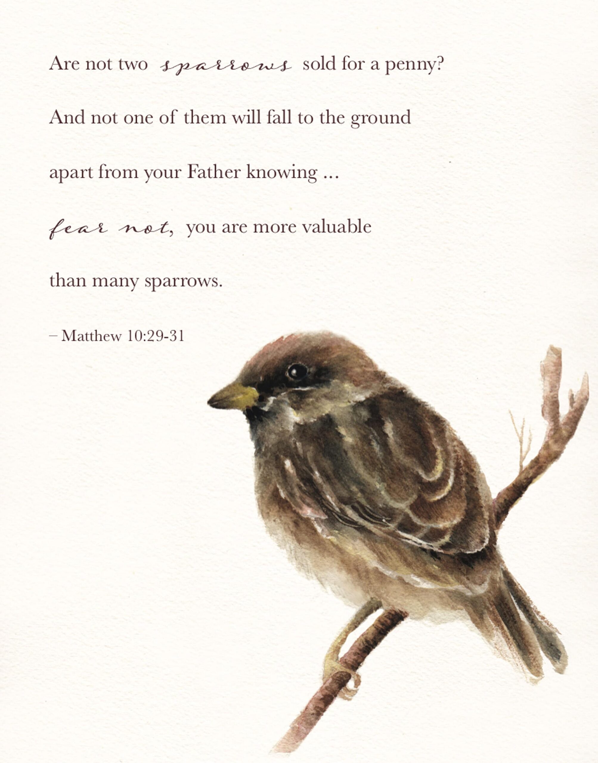 Sparrow With Bible Verse Small Brown Bird Watercolor Artwork Watercolor Print Of Sparrow Etsy