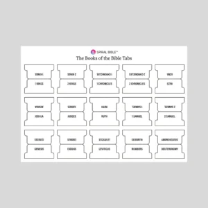 Spiral Bible Tabs