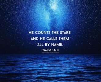 Stars Fascinate Me I Can Gaze At Them For Hours They Made Me Think About The Creator Even At A Very Early Age I Lay There thewordfortheday On Tumblr
