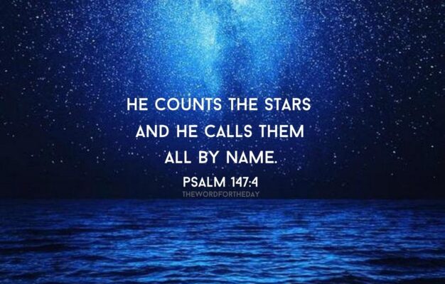 Stars Fascinate Me I Can Gaze At Them For Hours They Made Me Think About The Creator Even At A Very Early Age I Lay There thewordfortheday On Tumblr