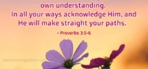 Start Your Tuesday With Good Morning Prayers Verses And Lovely GIFs Good Morning Prayers