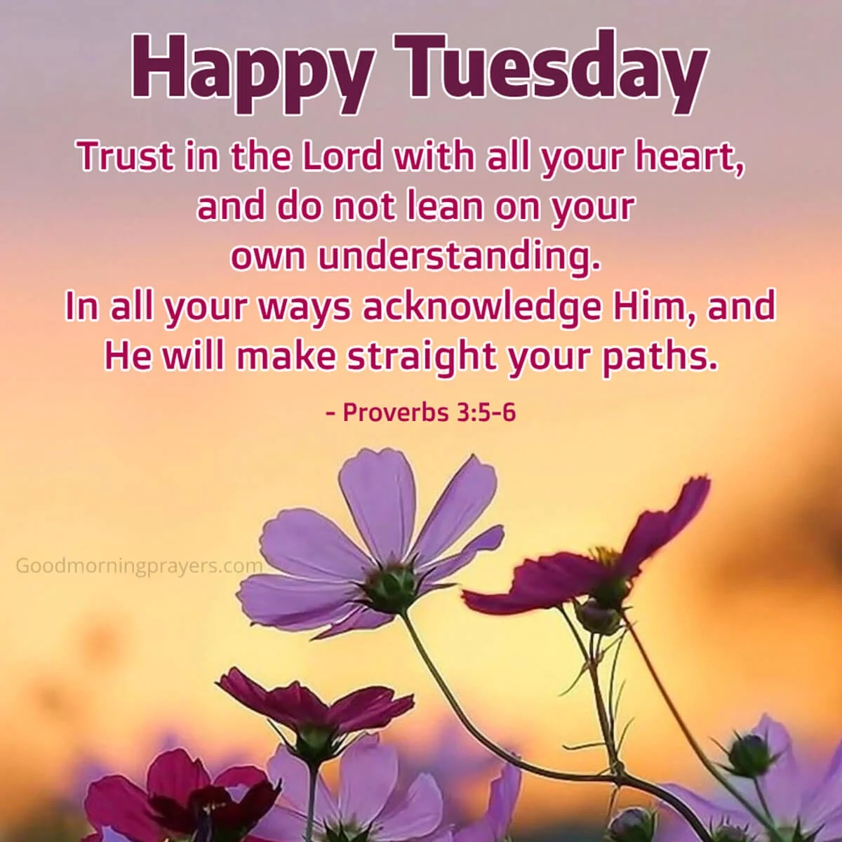 Start Your Tuesday With Good Morning Prayers Verses And Lovely GIFs Good Morning Prayers