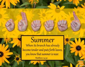 Summer Is Near Matthew 24 32 Devotional Master s Hand Collection