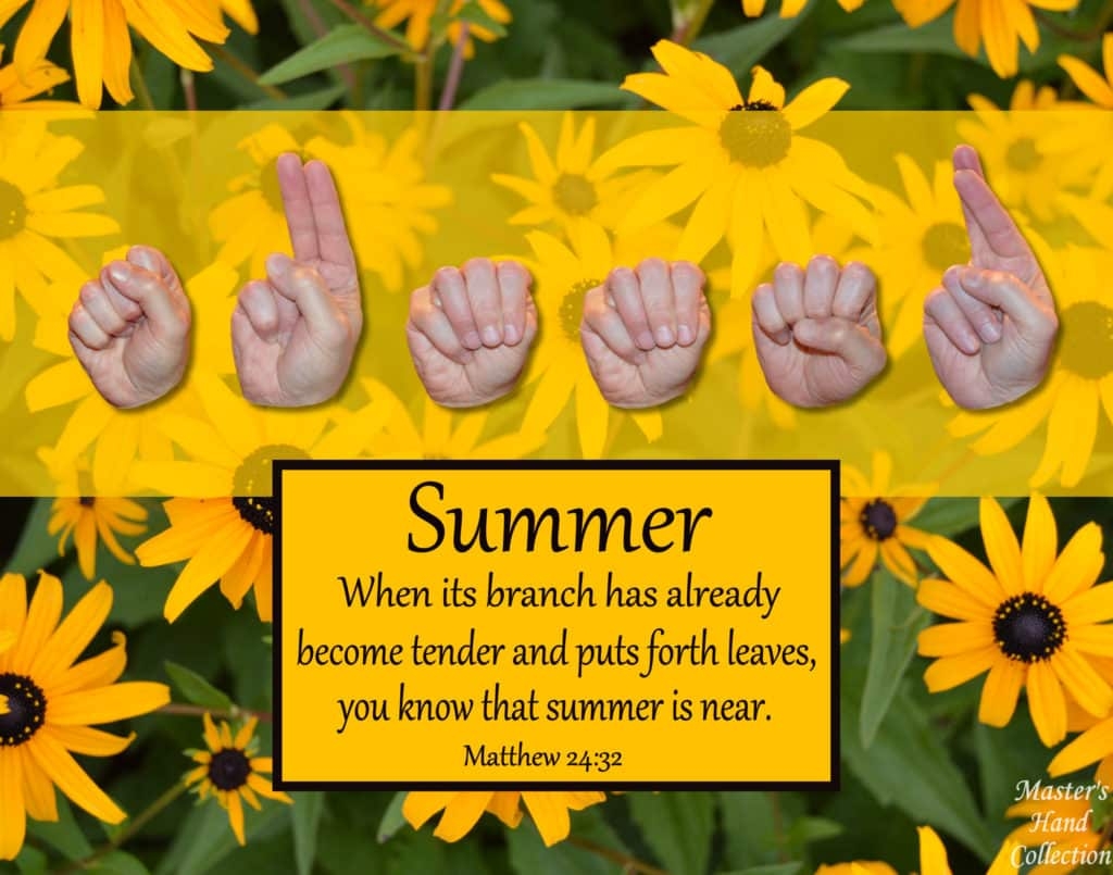 Summer Is Near Matthew 24 32 Devotional Master s Hand Collection