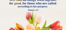 Sunday Prayers And Bible Verses With Good Morning GIFs For A Peaceful Day Good Morning Prayers