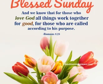 Sunday Prayers And Bible Verses With Good Morning GIFs For A Peaceful Day Good Morning Prayers