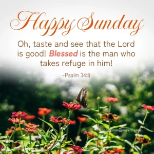 Sunday Prayers And Bible Verses With Good Morning GIFs For A Peaceful Day Good Morning Prayers
