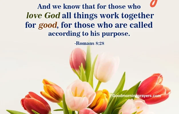 Sunday Prayers And Bible Verses With Good Morning GIFs For A Peaceful Day Good Morning Prayers
