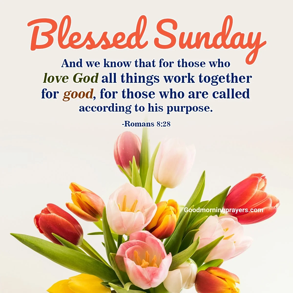 Sunday Prayers And Bible Verses With Good Morning GIFs For A Peaceful Day Good Morning Prayers