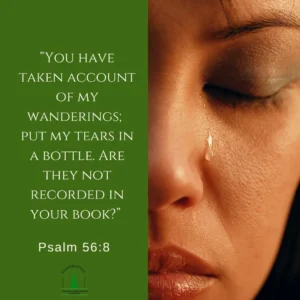 Tears In A Bottle Psalm 56 8