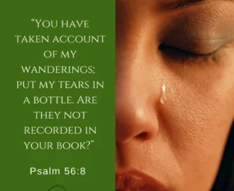 Tears In A Bottle Psalm 56 8