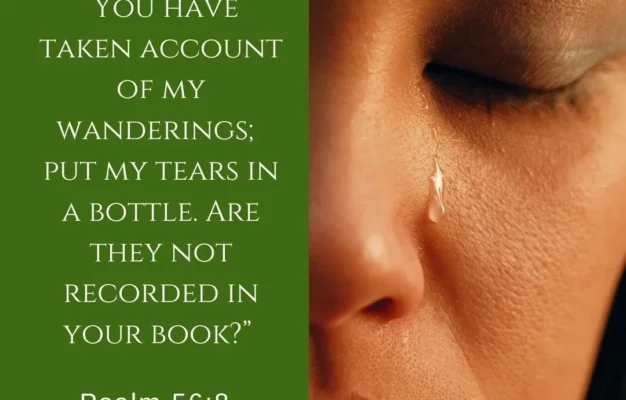 Tears In A Bottle Psalm 56 8