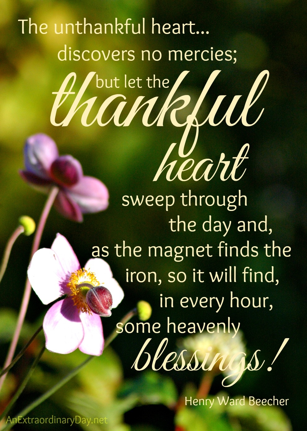 Thankful Thursday Thankful Heart Quote And Printable An Extraordinary Day