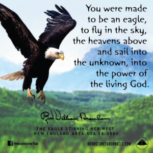 The Beauty And Majesty God s Magnificent Eagle By Mrs Diane Mary Markey The Dove Medium