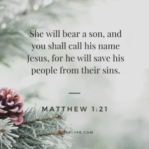 The Best Bible Verses For Celebrating Christmas Bible Lyfe