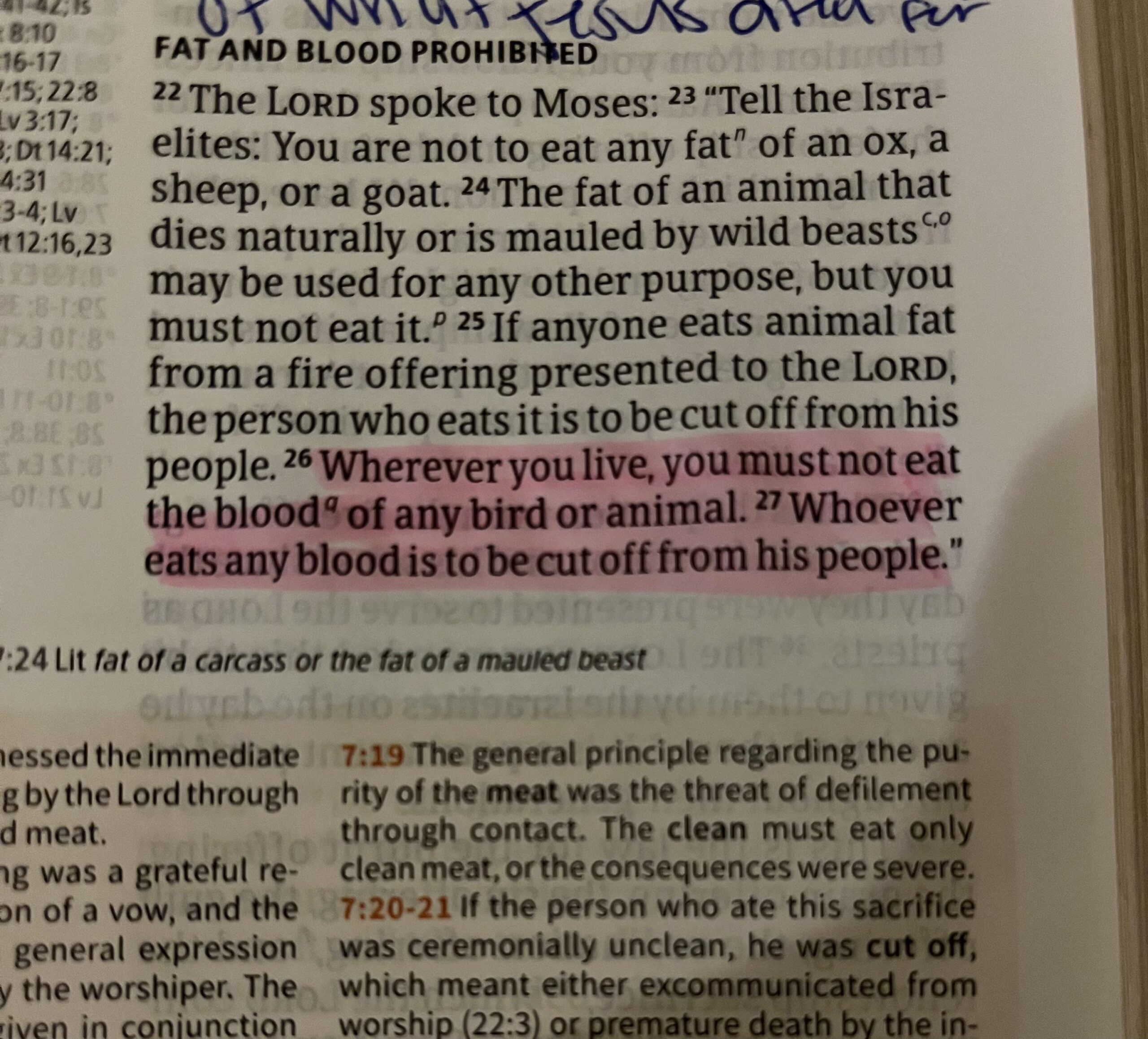 Ridiculous Bible Quotes
