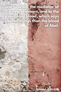 The Blood Of Abel Meadow Called Grace
