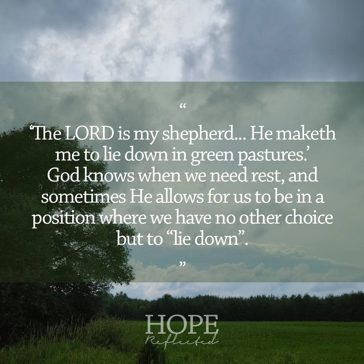 The Good Shepherd Archives Hope Reflected