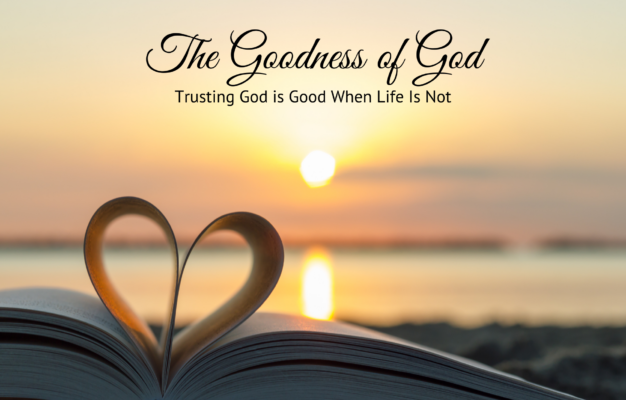 The Goodness Of God Trusting God Is Good When Life Is Not