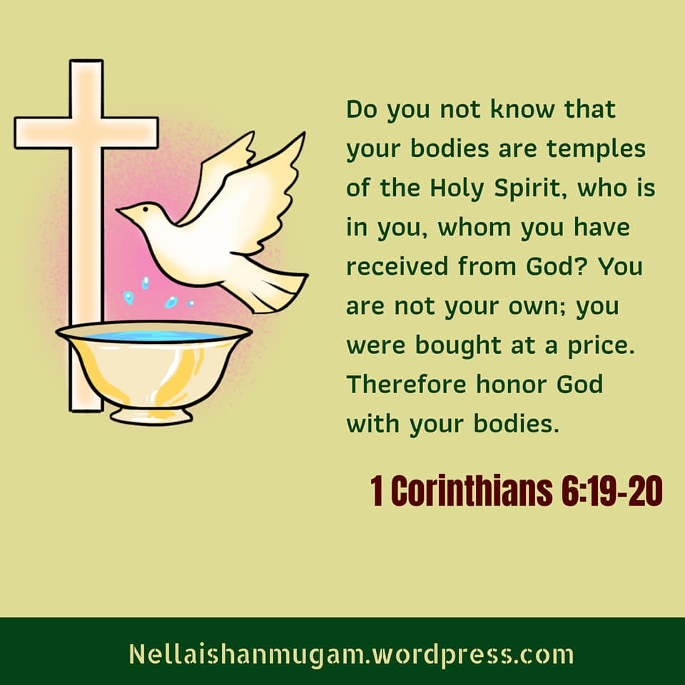 The Holy Spirit And Its Gifts Bible Verses Shanmugam s Blog