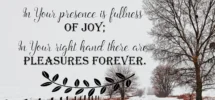 The Journey To Joy Carol McLeod Ministries