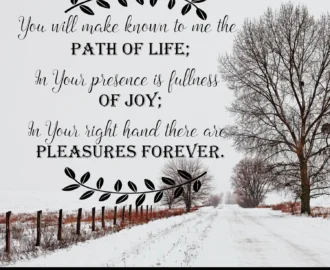 The Journey To Joy Carol McLeod Ministries