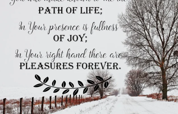 The Journey To Joy Carol McLeod Ministries