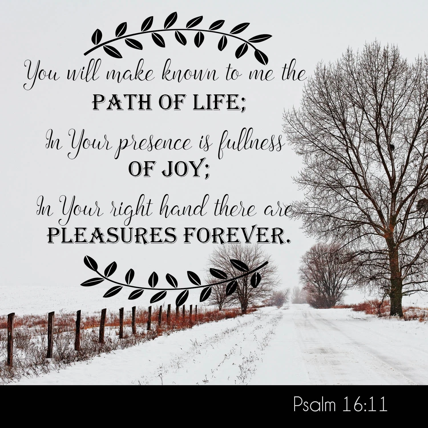 The Journey To Joy Carol McLeod Ministries