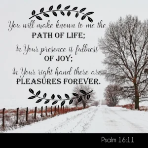 The Journey To Joy Carol McLeod Ministries