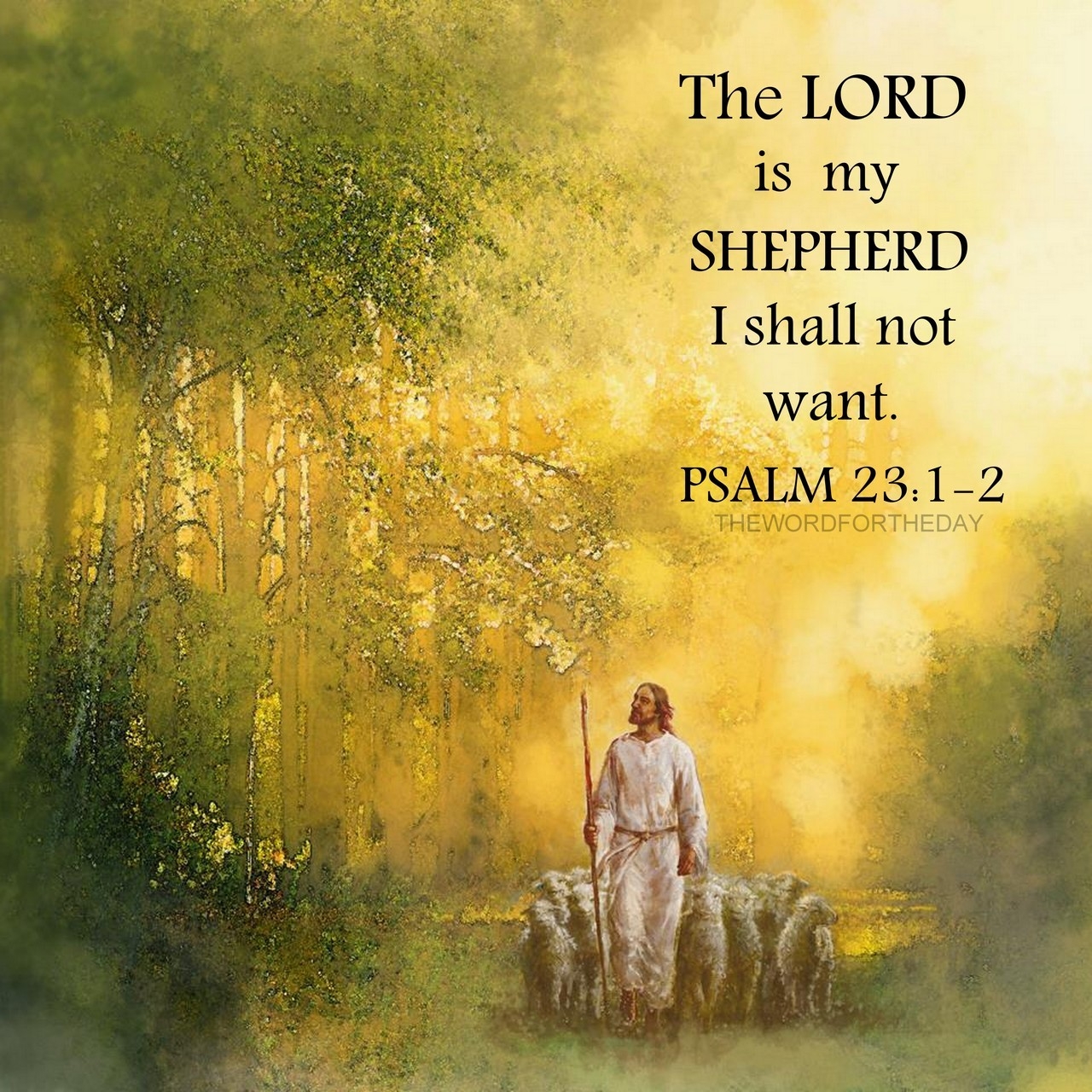 The LORD Is My Shepherd Psalm 23 1 The LORD Is My Shepherd Therefore I Shall Lack Nothing Because I Have The Best Possible thewordfortheday On Tumblr