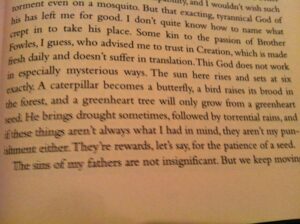 The Poisonwood Bible Assignment The Junta