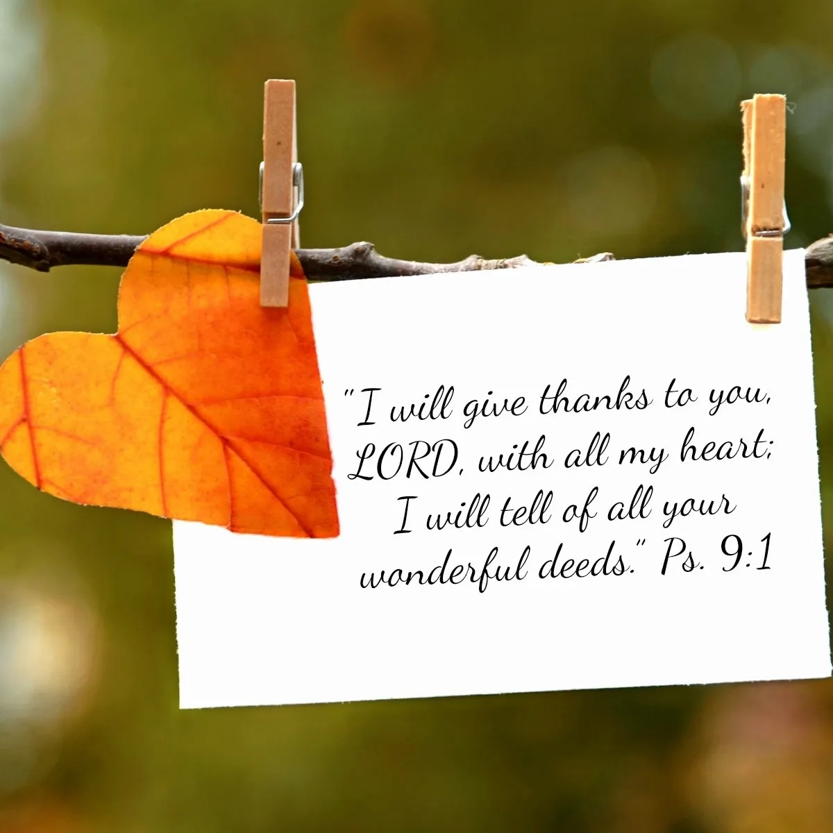 The Power Of A Grateful Heart 21 Verses Of Thanks To God Debbie McDaniel