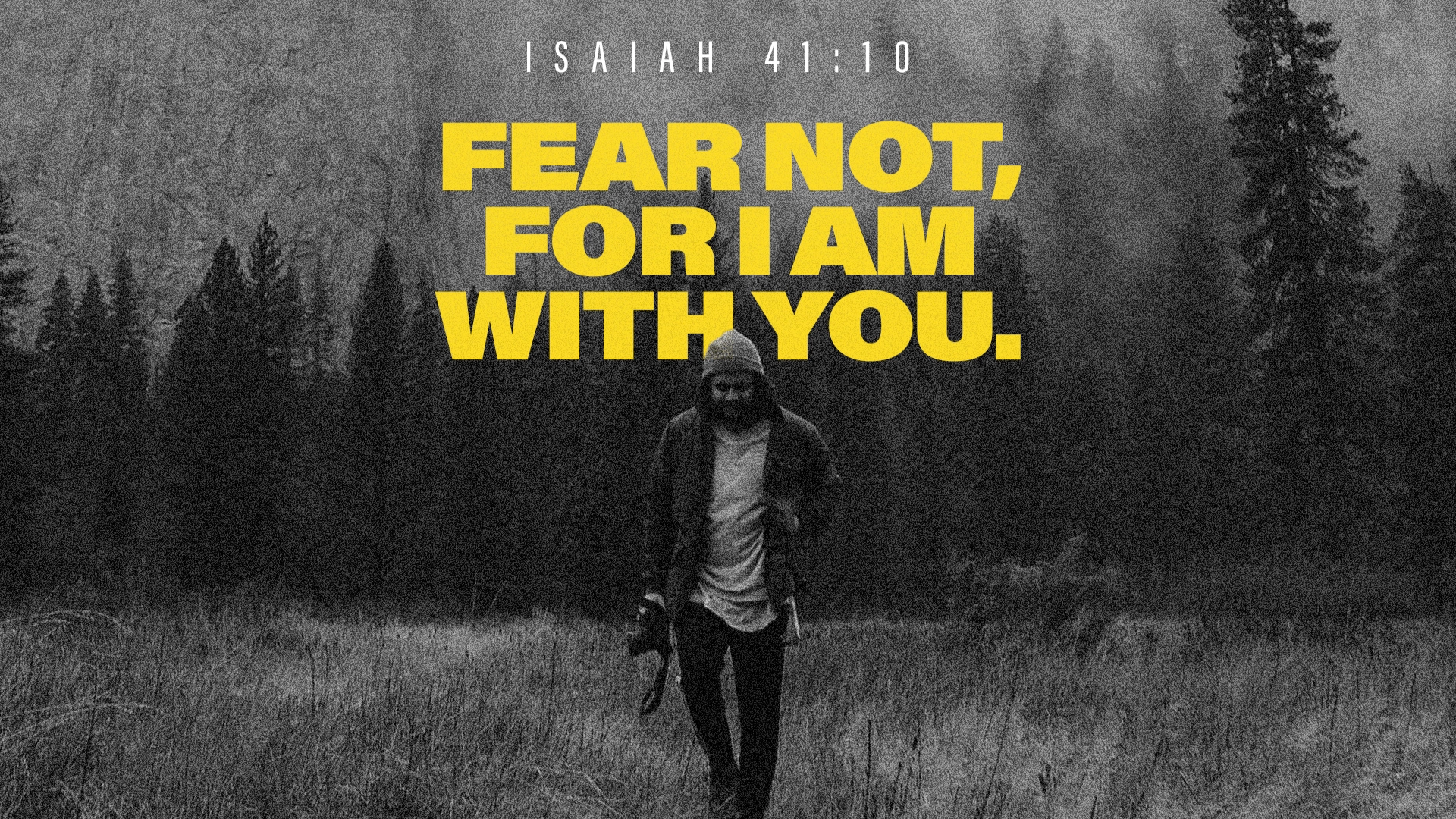 The Top Bible Verses Of 2018 Don t Come From Jesus Or Paul Christianity Today