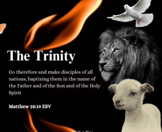 The Trinity Faith blog