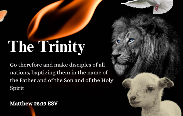 The Trinity Faith blog