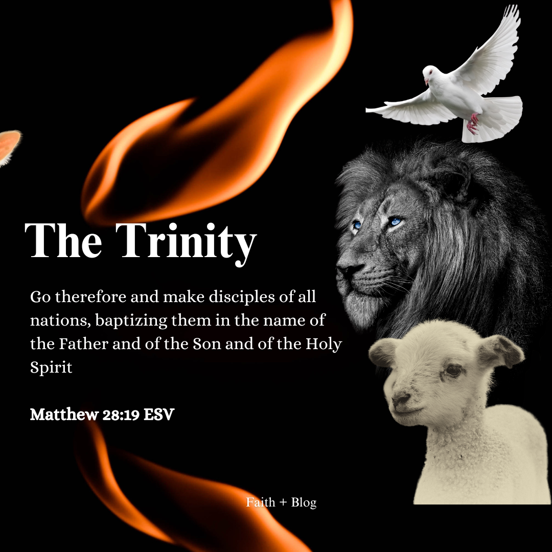 The Trinity Faith blog