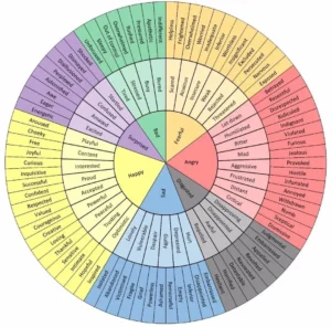 The Wheel Of Emotions Jennie Allen Author Speaker And Bible Teacher