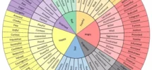 The Wheel Of Emotions Jennie Allen Author Speaker And Bible Teacher