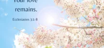 Though Seasons Change Your Love Remains Blessed Be Boutique