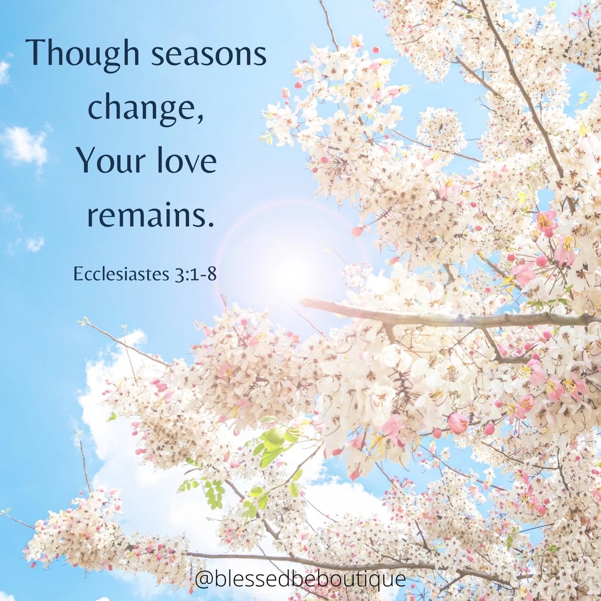 Bible Quotes About Change